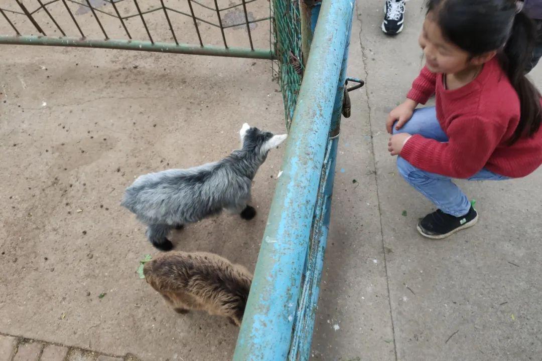 a147c30bca2f425988ca10fd6338e650.jpeg