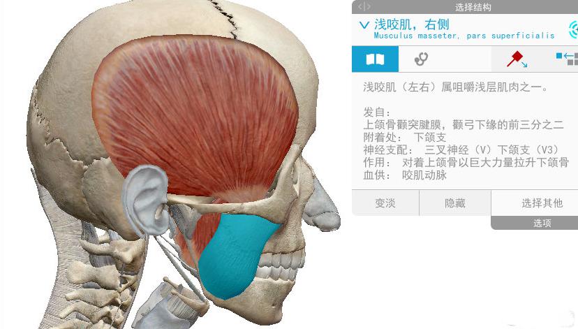 上颌骨疼痛是怎么办