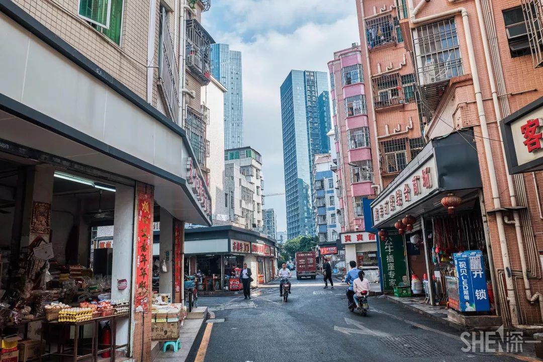 再见南山村