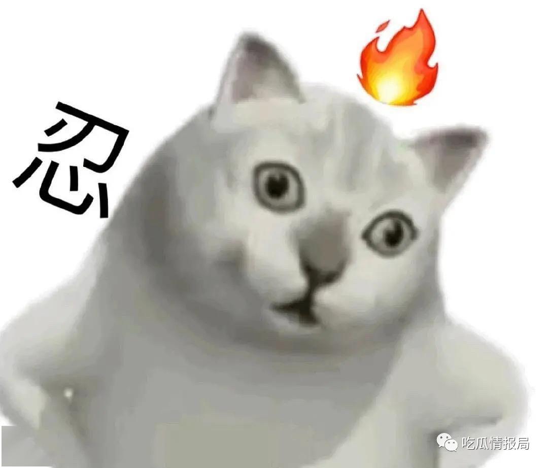 b0750c8b7b924342b822ca182c1ae52b.jpeg