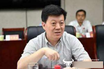 原信保总经理王延科出任中国人保总裁 面对重重困难能否胜任？