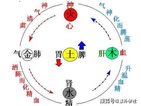 中医密码破密一气周流画个圈