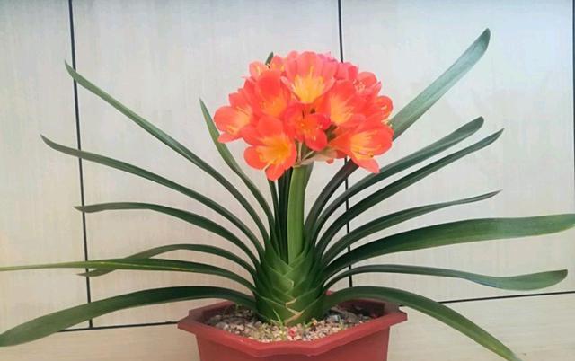 d791b9d3b87b4ec09fe6a5c0cff0a996.jpeg