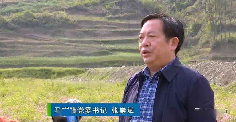 走基层61看发展系列报道黔江区马喇镇产业兴镇见实效乡村振兴有目标