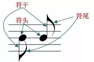 音符大全,如何教孩子快速认识并记住音符?