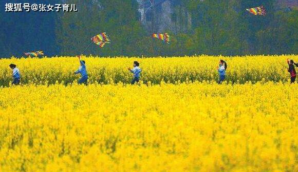 「宝宝」很多人都带孩子外出放风，但不要忽视这些春风里的危险春天来了