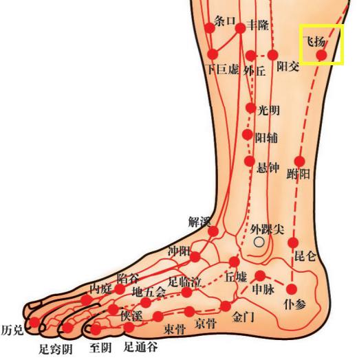 穴位知识十二经脉足太阳膀胱经之飞扬穴