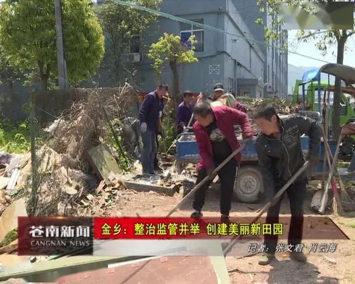 金乡区人口_人口普查