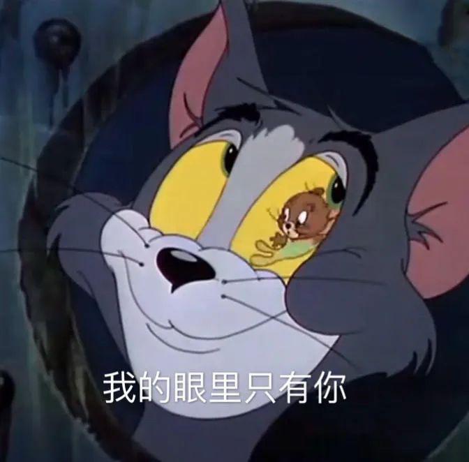 猫和老鼠专场童年回忆
