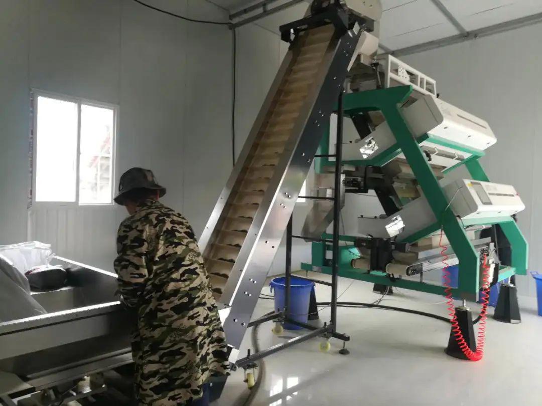 全村经济发展总量_全村的希望图片