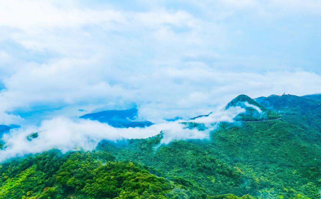 天人合一,自然相融丨观音山太极养身体验游即将上线