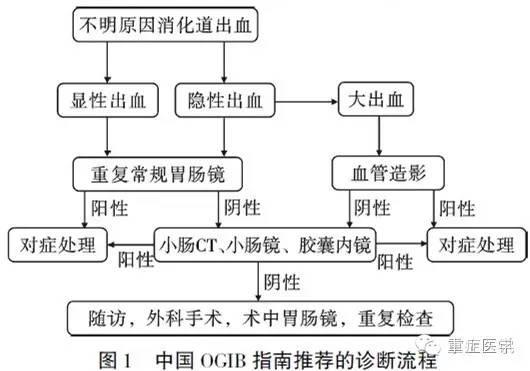 不明原因消化道出血,如何快速识别并准确判断?