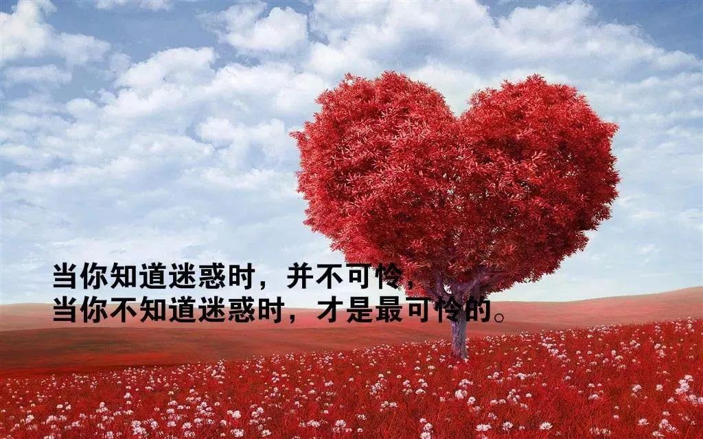 发朋友圈很现实的人生感悟句子,写进心窝的哲理语录
