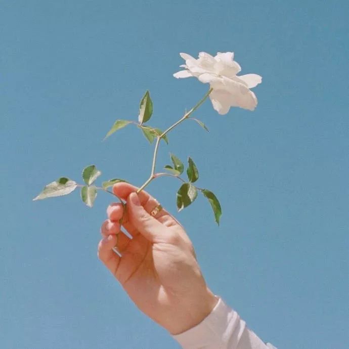 2020年安徽初中排名_2019-2020黄山学院排名_全国第489名_安徽省第18名(最新