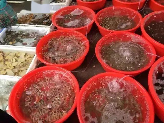 文章配图-35