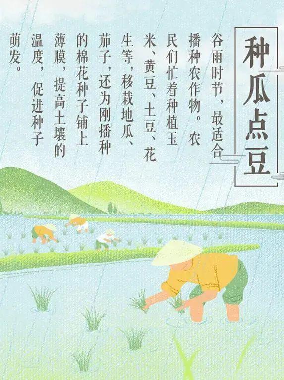 简谱谷雨_谷雨手抄报(3)