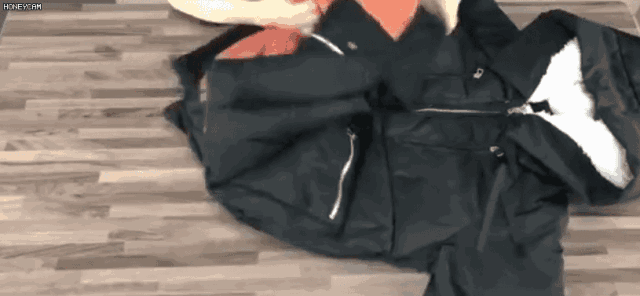 3ed6f142659349c4bcef48be78dea51e.gif