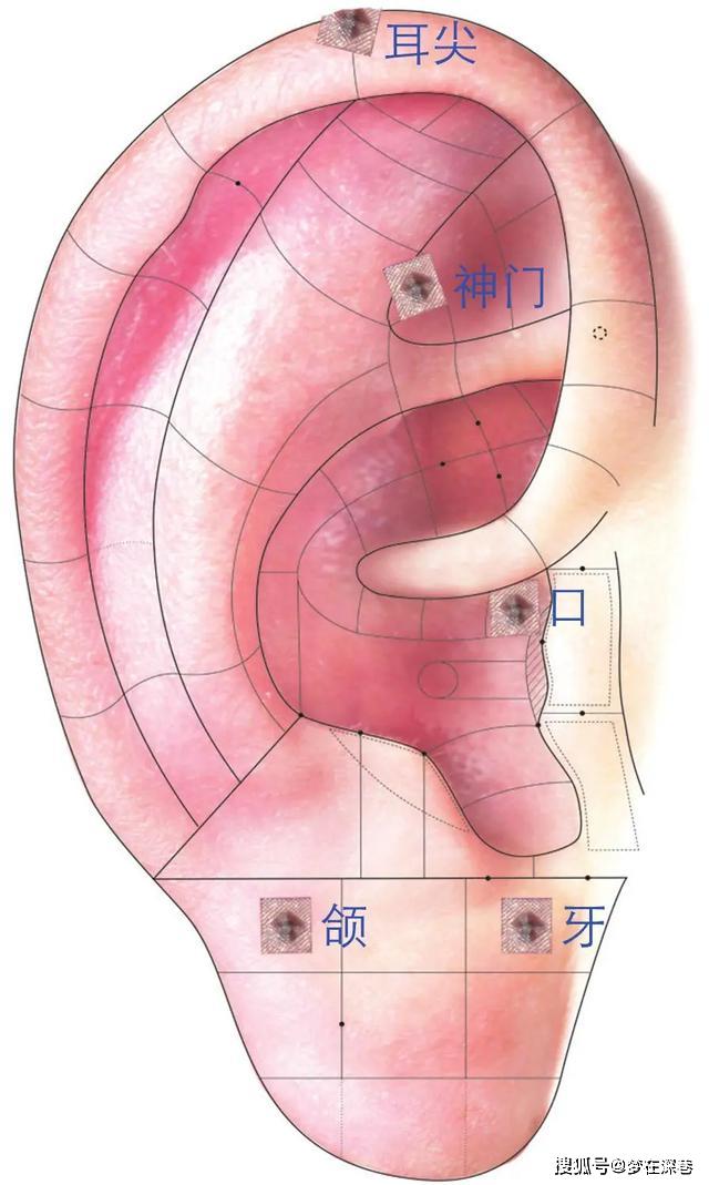 左边牙龈肿痛怎么办