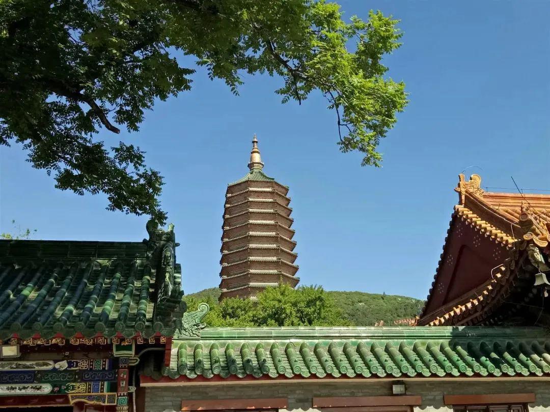 八大处 八大处公园地处太行之西山余脉,翠微,平坡,卢师三山之间,是