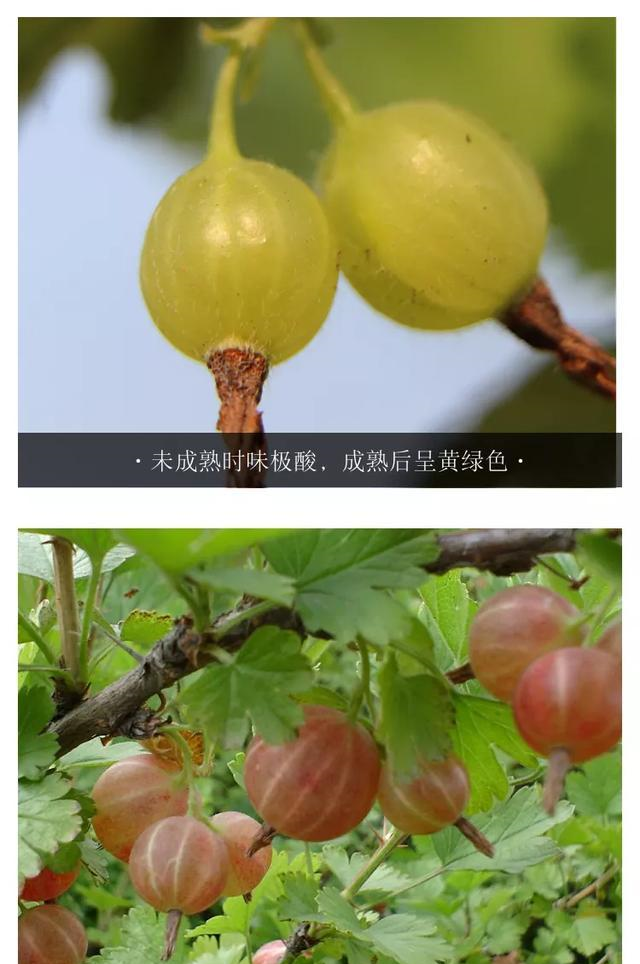 502a988c5c5c4c018b30ef3b159e690b.png