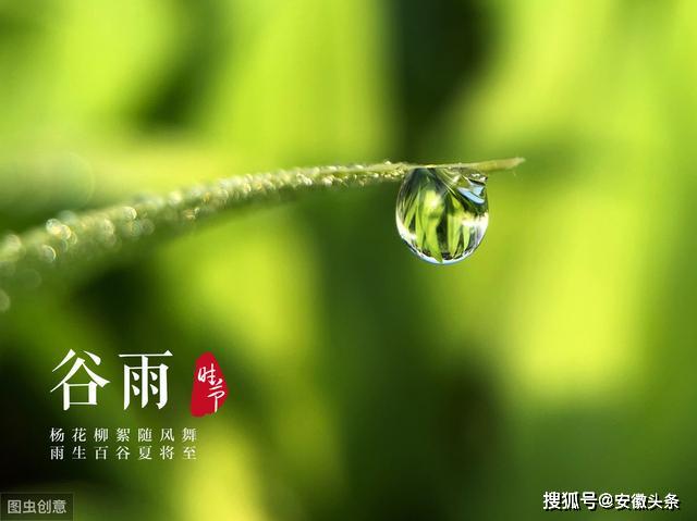 谷雨田园吟