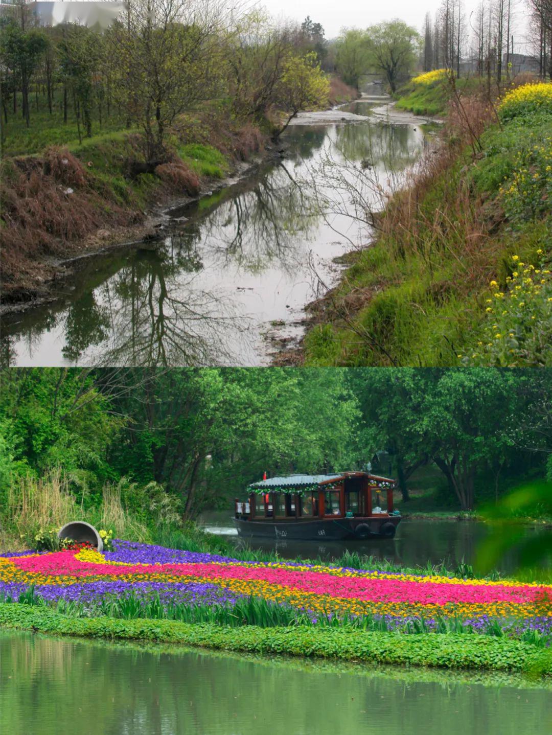 杭州游，西溪湿地手机拍拍|摄影|人文/纪实|尚武崇文 - 原创作品 - 站酷 (ZCOOL)
