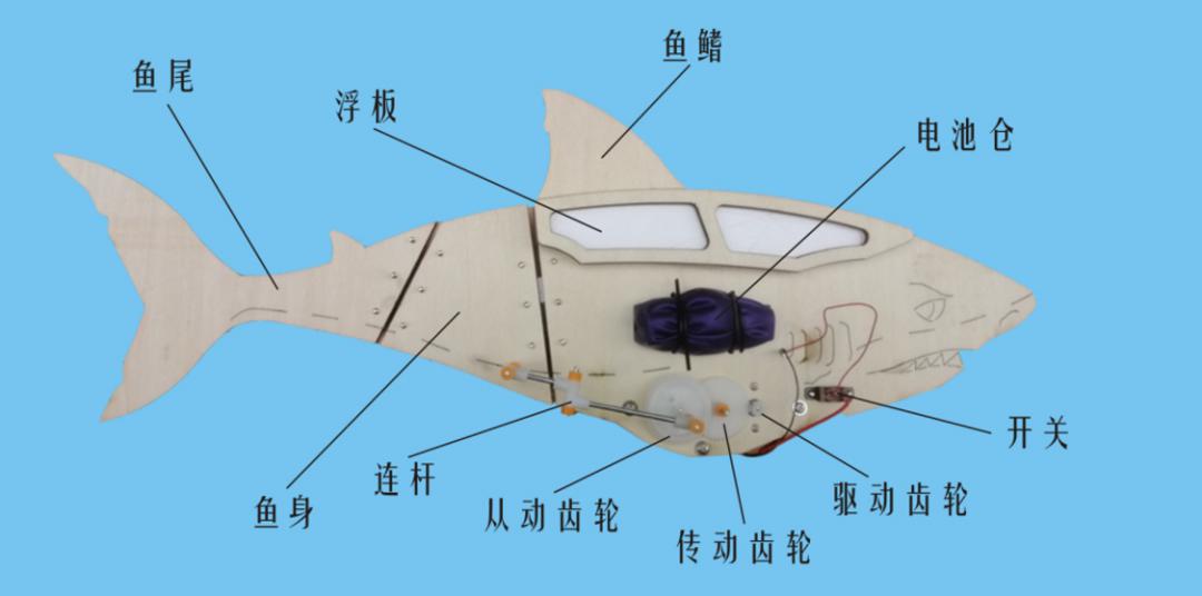 素养训练无门试试这套仿生鱼制作科普课程吧