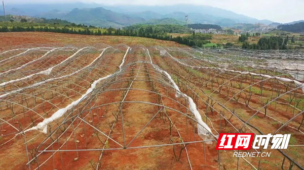 贫困户人均年收入_建档立卡贫困户(2)