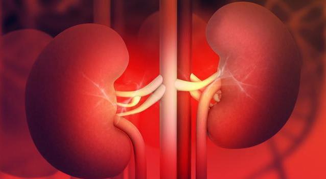 如何看肾小球滤过率 714033bb38f341f8855e0e88b58a3ae0.jpeg