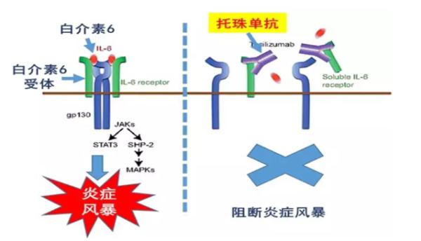 转移号到底是什么原理_两肺转移瘤是什么意思(2)