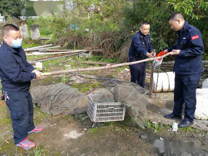 天柱警民联手将一只白面狸归回大自然