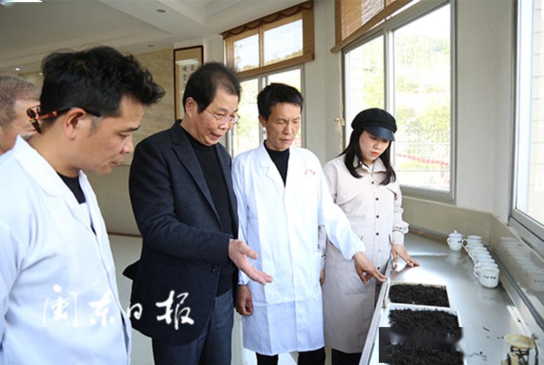 技术系潘玉华教授一行深入福安市社口镇实地指导茶企茶农春茶生产工作