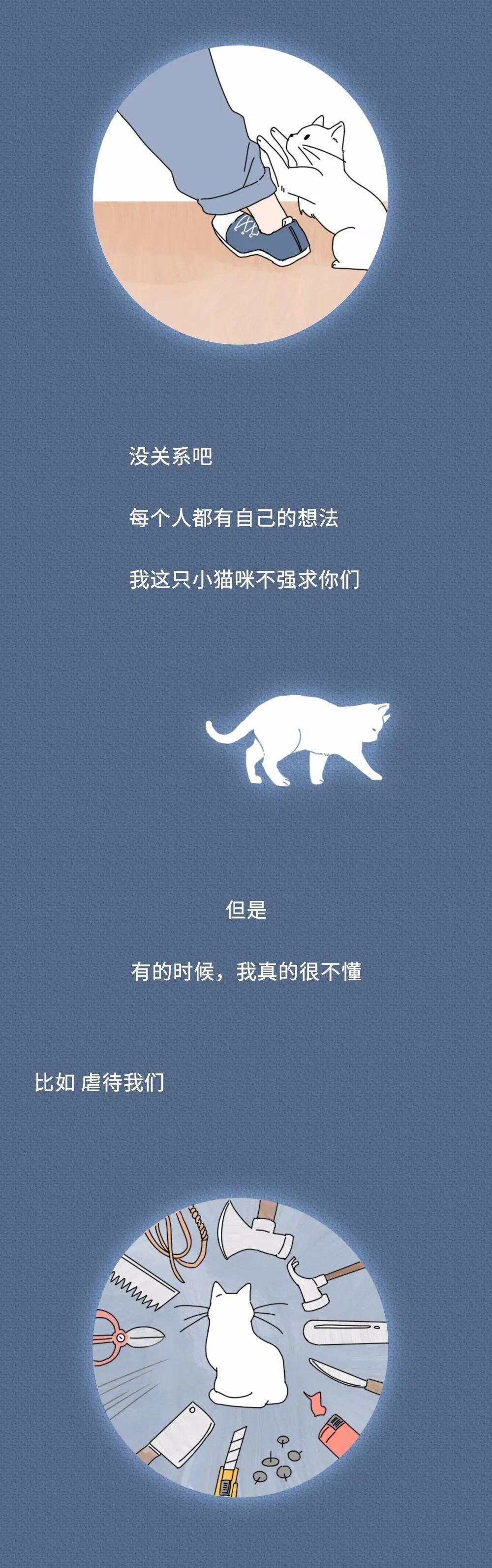 “虐待我们会有快感吗？”一只猫的自述刷爆朋友圈，看完泪崩…