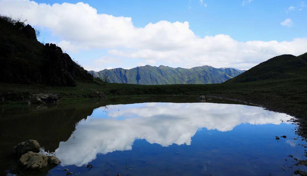 2020年一月15日峡谷排名_英雄联盟:2020春季赛规则修改,双教练BP,职业选手最