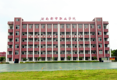 湖南省2020年高职院_长沙民政职业技术学院2020年湖南省单独招生简章