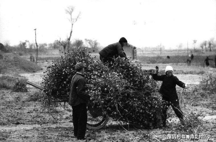 老照片法国摄影师拍摄的60年代河南洛阳农村看上去好亲切