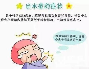 水痘是由水痘  带状疱疹病毒初次感染引起的急性传染病.