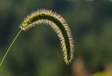 合伙干工程长久的原则(不管做哪一行都要阅读)