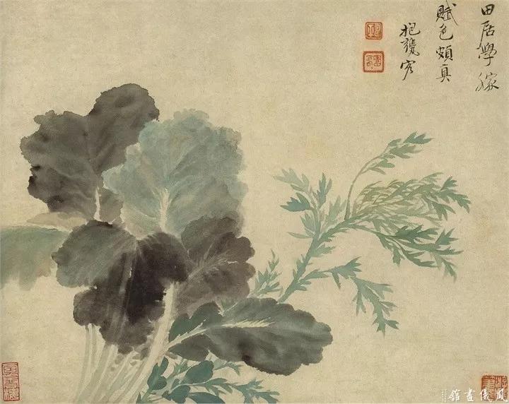 恽寿平没骨花鸟画精选200幅_南田