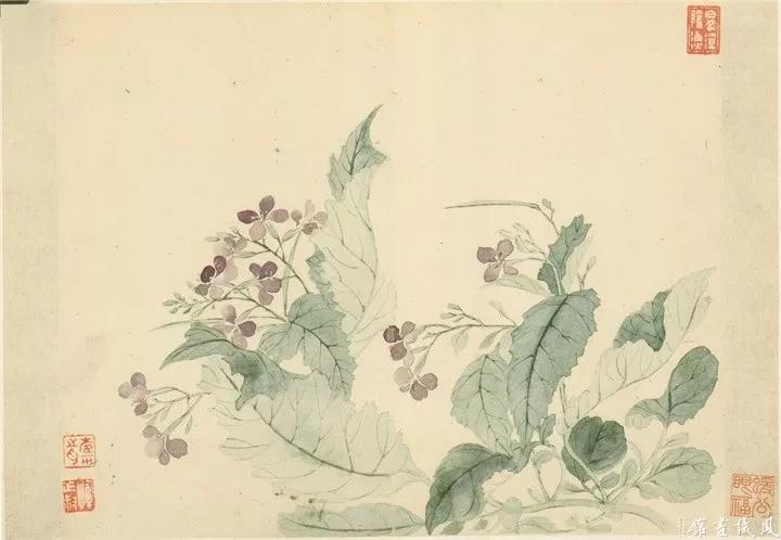 恽寿平没骨花鸟画精选200幅