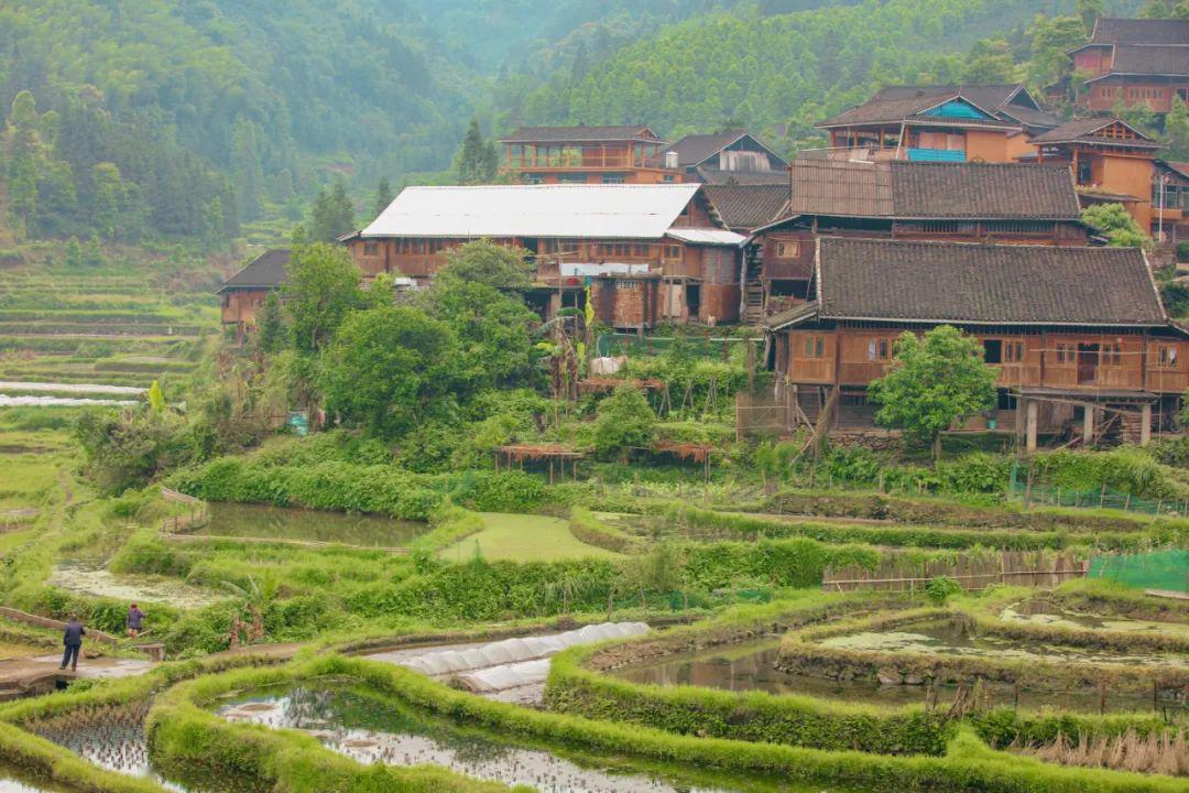 雨卜村人口_卜花村(2)