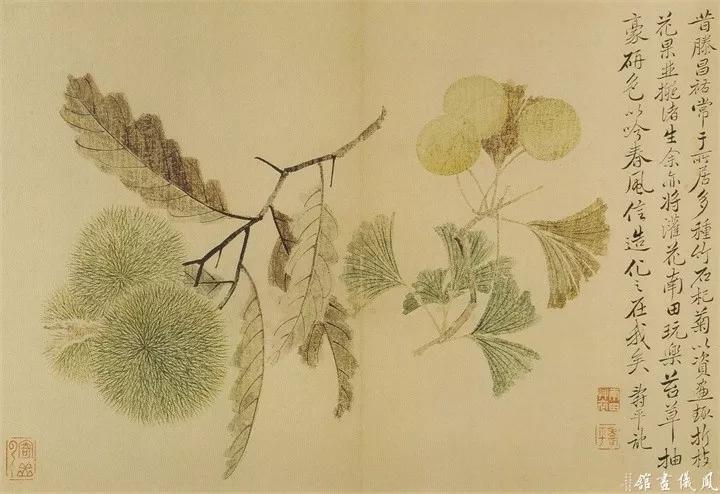 恽寿平没骨花鸟画精选200幅