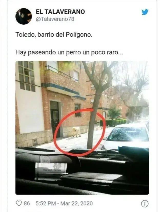 花式防疫来袭！忍住别笑：印度警察COS成新冠病