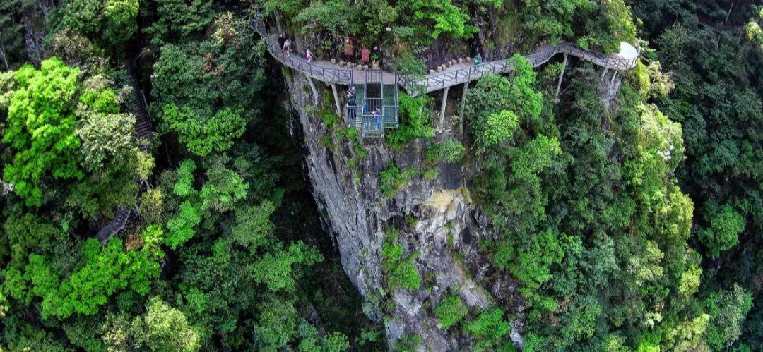 文成县猴王谷景区(含隐心谷民宿)