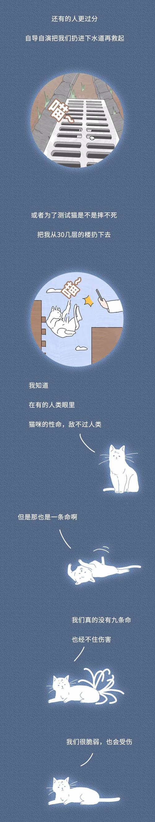 “虐待我们会有快感吗？”一只猫的自述刷爆朋友圈，看完泪崩…