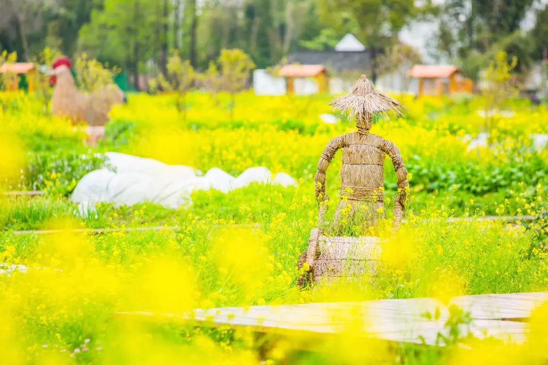点点点 春天是什么颜色的 农开告诉你