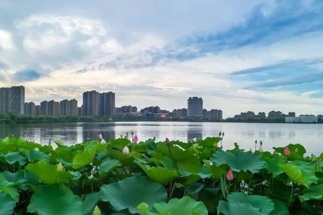 龙池湖实景图