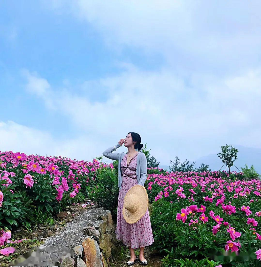 花仙子抖音大赛