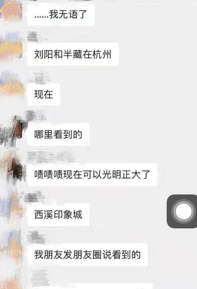 刘阳携新女友半藏森林杭州看房博同情发长文却被发现偷偷打游戏