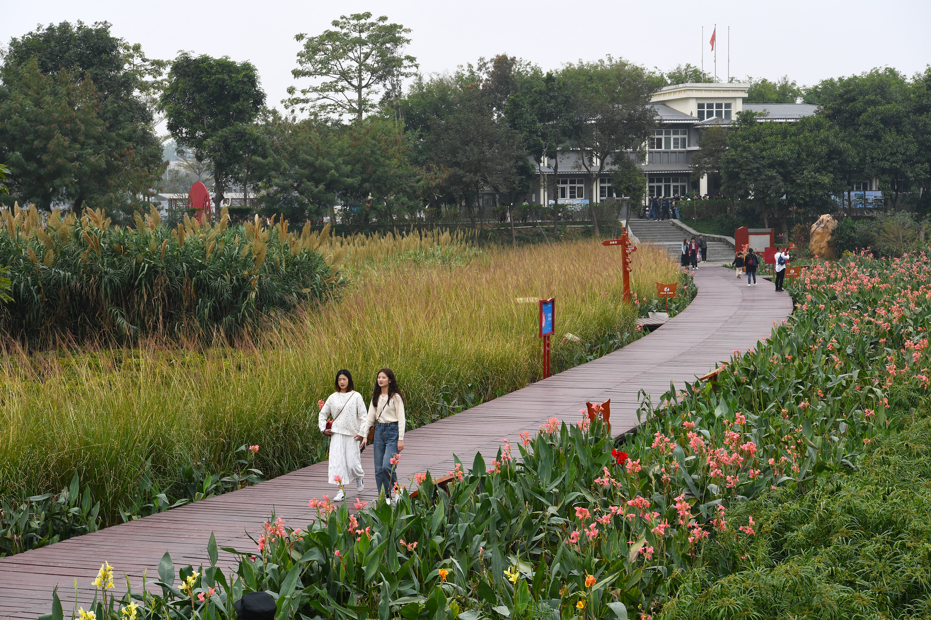 市民在深圳观澜河人工湿地公园散步(2019年12月22日摄).